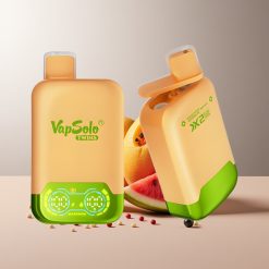 Vapsolo Twins 20000 Pūkų Dvi Talpos Type-C Apelsinas Mango Arbūzas & Raudonasis Jautis