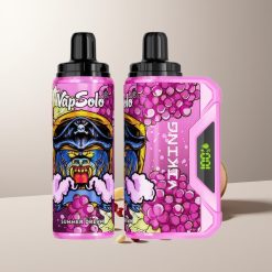 VapSolo VIKING 12000 Puffų Vienkartinė Vaporizatorius Vasaros Sapnas 22ml Type-C